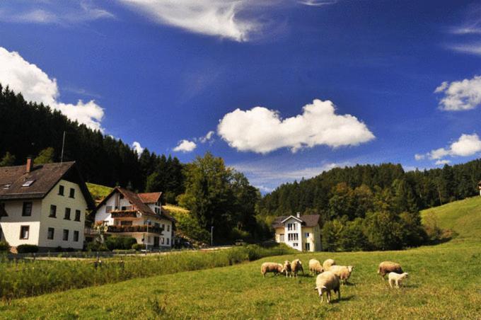 Hirschen-Dorfmuehle Hotel Biederbach Exterior photo